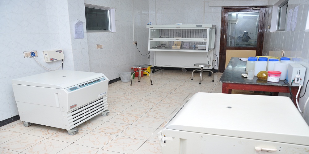 Blood Bank