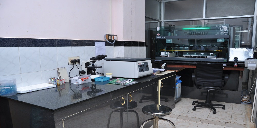 Blood Bank